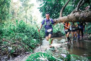 BIB: 
                            <button type="button" onclick="openModal(25459564)" class="btn btn-primary btn-sm float-right btn-popup" data-toggle="modal" data-target=".modal-high-quality">
                        <i class="fas fa-shopping-cart"></i> Add to Cart
                    </button>
                                            <button type="button" onclick="isThisMe(25459564, true)" class="btn btn-success btn-sm float-right btn-popup btn-isme hidden" data-toggle="tooltip" data-placement="bottom" title="นี่คือรูปของคุณใช่ไหม คลิกที่นี่เพื่อเอาเข้าอัลบั้ม">
                        <i class="fas fa-plus"></i> Add to album
                    </button>
                    <button type="button" onclick="isThisMe(25459564, false)" class="btn btn-warning btn-sm float-right btn-popup btn-isnotme hidden">
                        <i class="fas fa-ban"></i> Remove from album
                    </button>